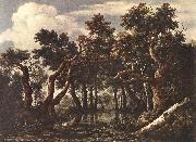 Jacob van Ruisdael The Marsh in a Forest oil painting picture wholesale